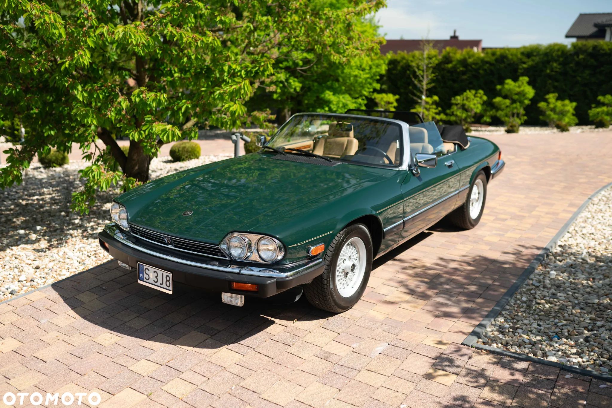 Jaguar XJS - 1