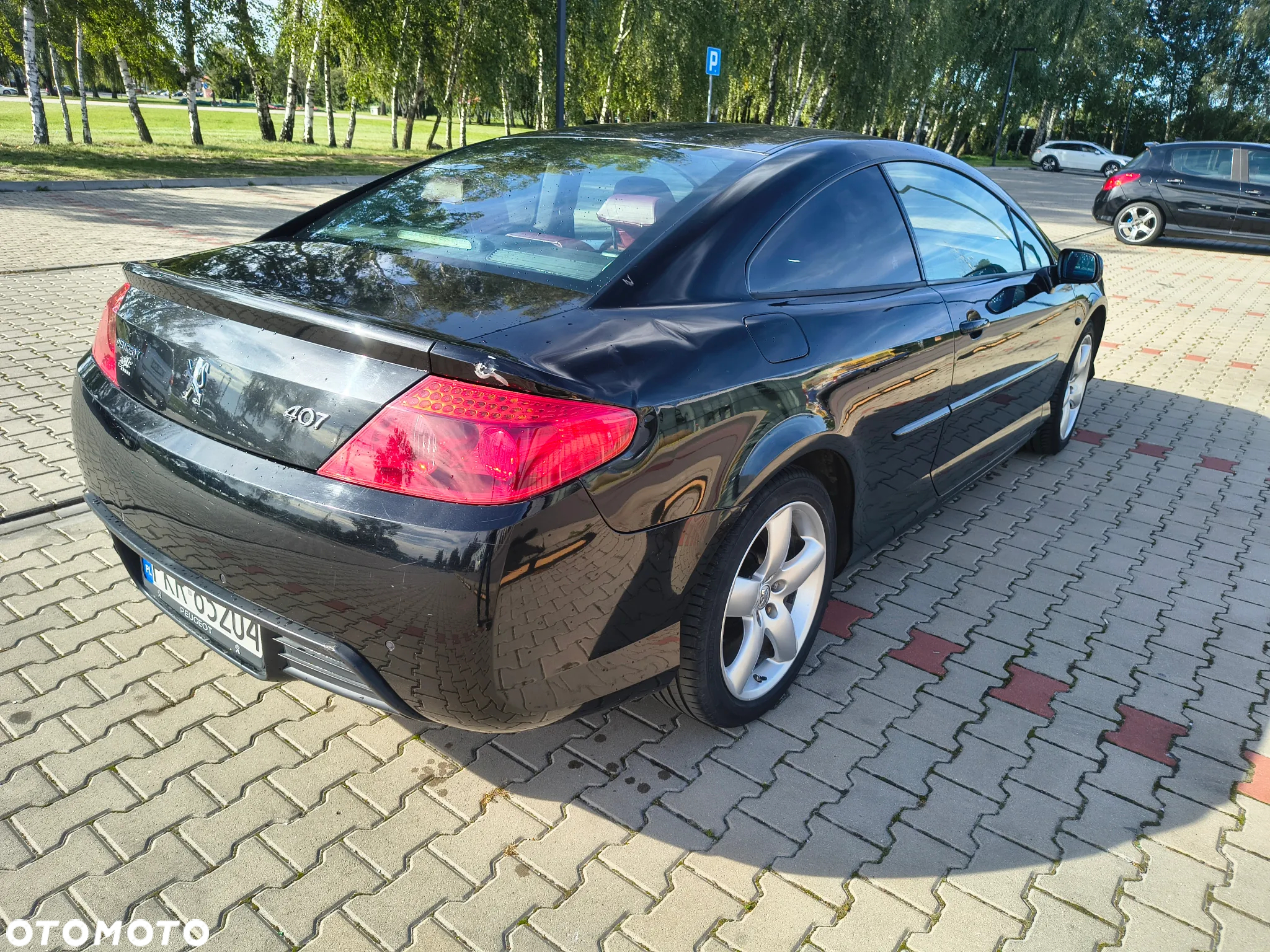 Peugeot 407 - 5