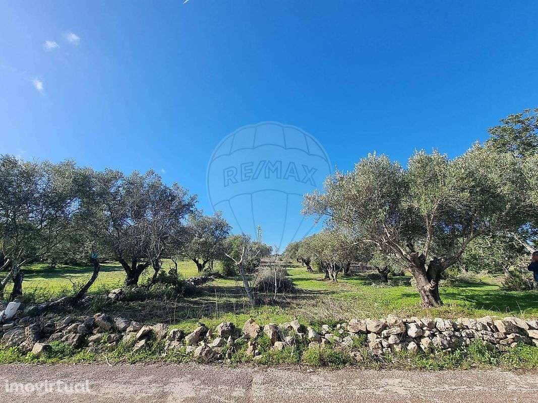 Terreno  para venda - Grande imagem: 2/5