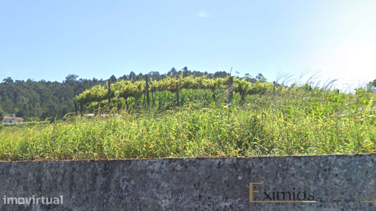 Terreno com 6500m2, em Barcelos - Grande imagem: 3/4