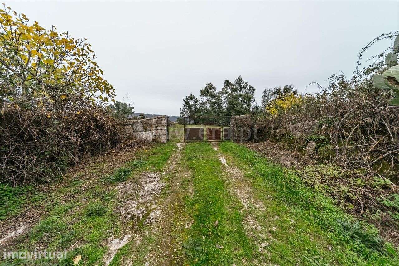 Quinta T1 / Fundão, Vale Prazeres - Grande imagem: 3/19