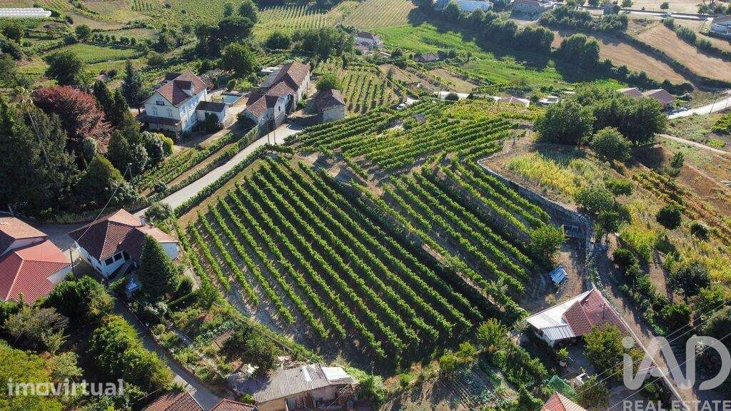 Terreno para construção em Figueiró - Grande imagem: 4/9