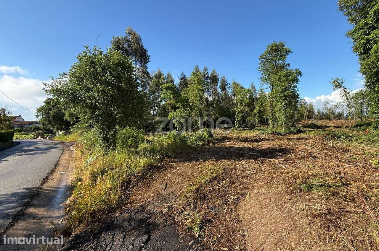 Terreno Urbanizável - Grande imagem: 5/15