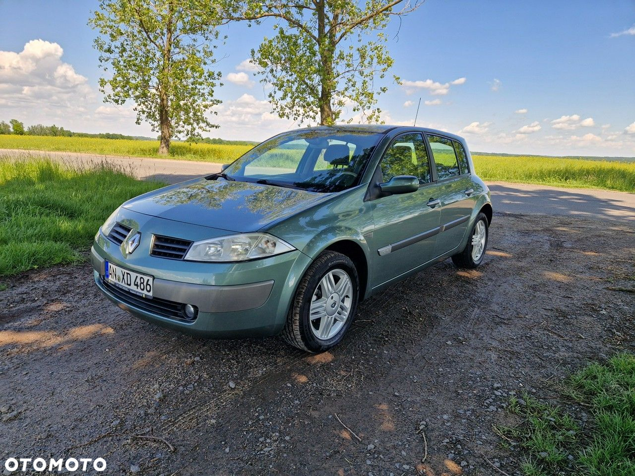 Renault Megane 1.6 Luxe Privilege - 20