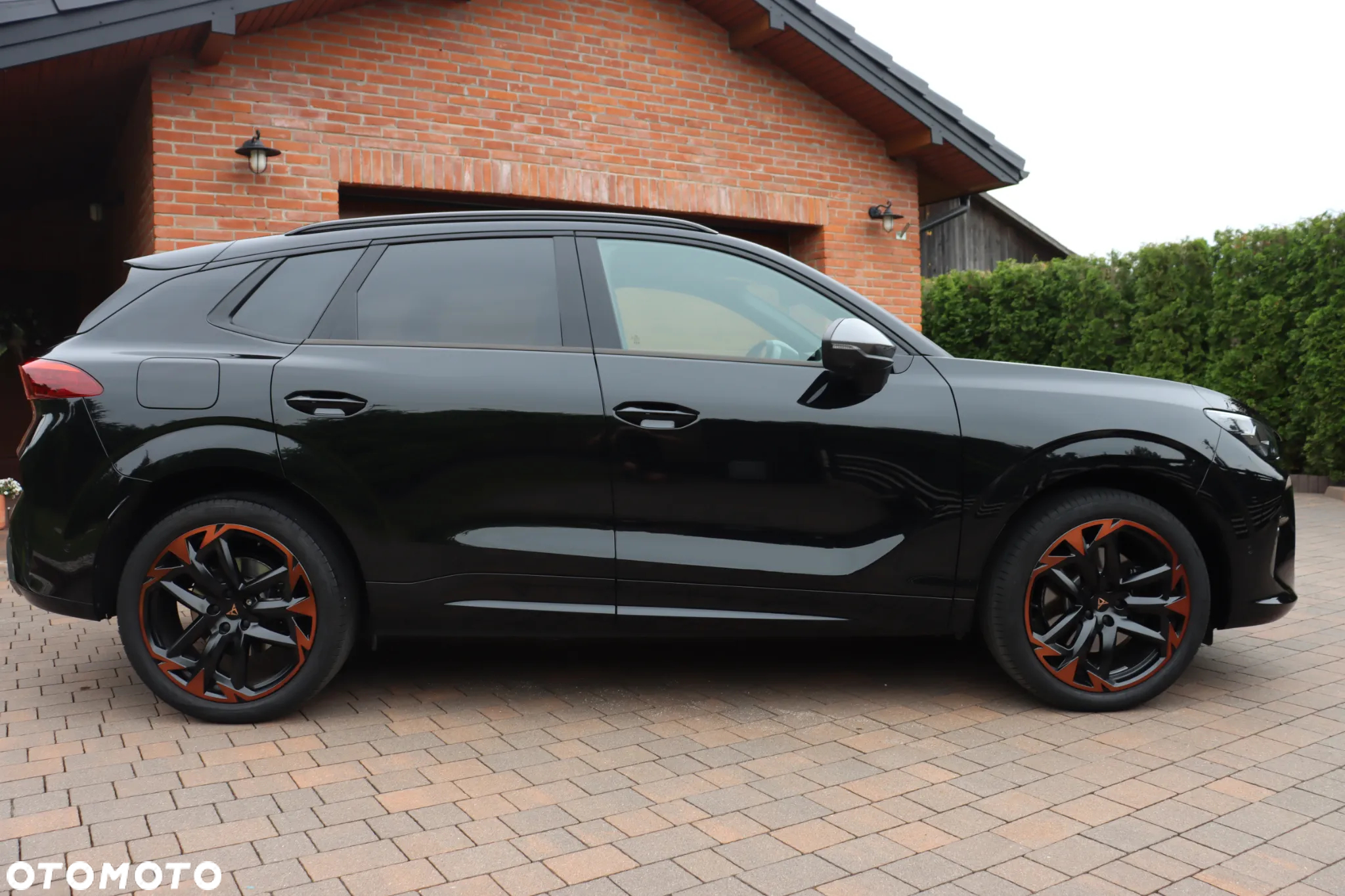 Cupra Terramar - 5