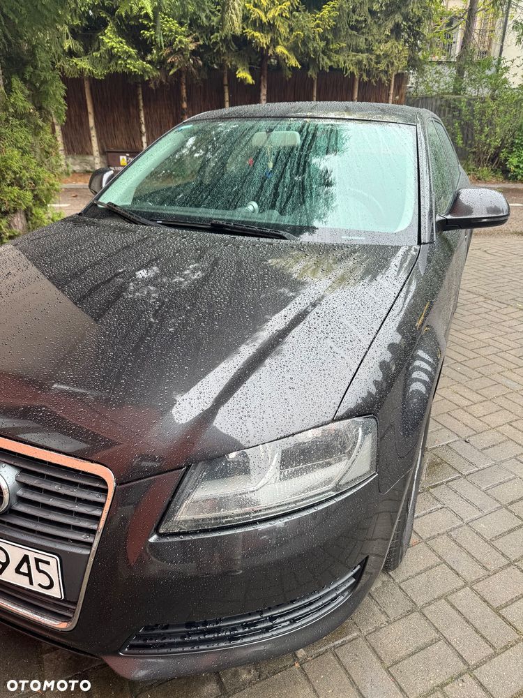 Audi A3 Sportback 1.6 TDI DPF Ambition - 10