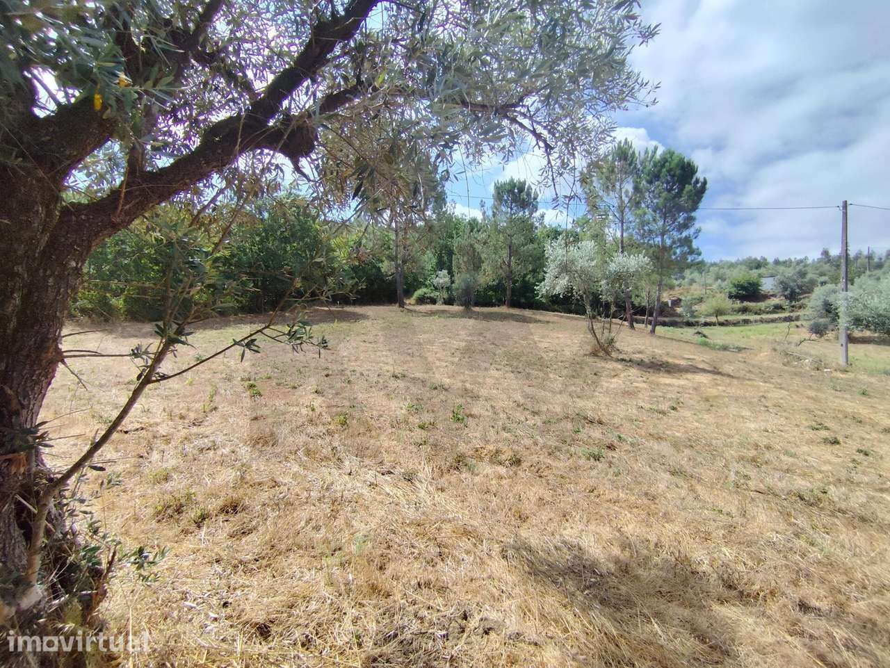 Terreno 6.253 m2 | limite com o Rio Ceira | Serpins, Lousã - Grande imagem: 4/25