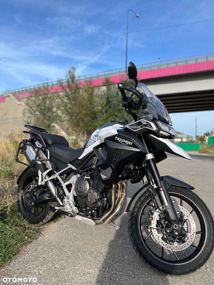 Triumph Tiger - 11