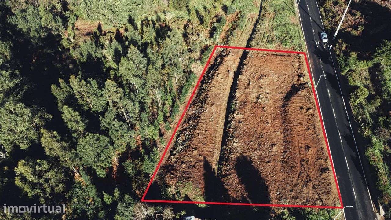 Terreno Rústico com Viabilidade de Construção - Camacha - Grande imagem: 5/5