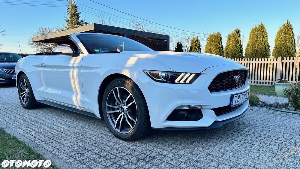 Ford Mustang - 8
