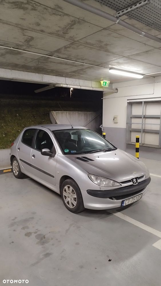 Peugeot 206 - 1