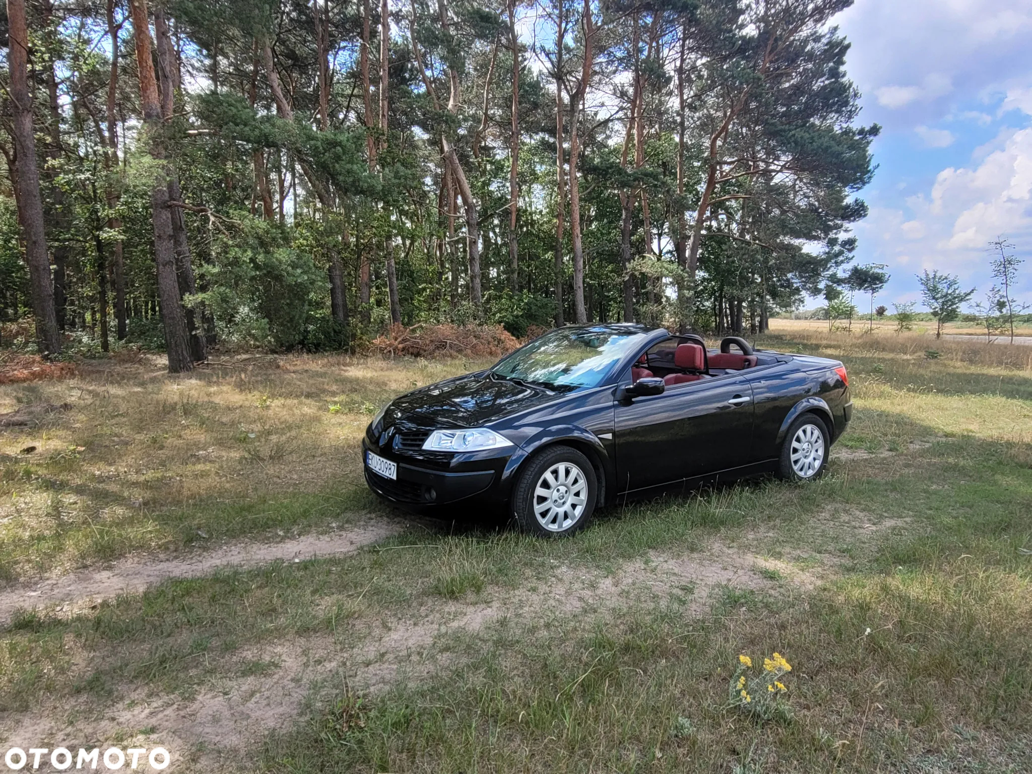 Renault Megane CC 2.0 16V Dynamique - 4