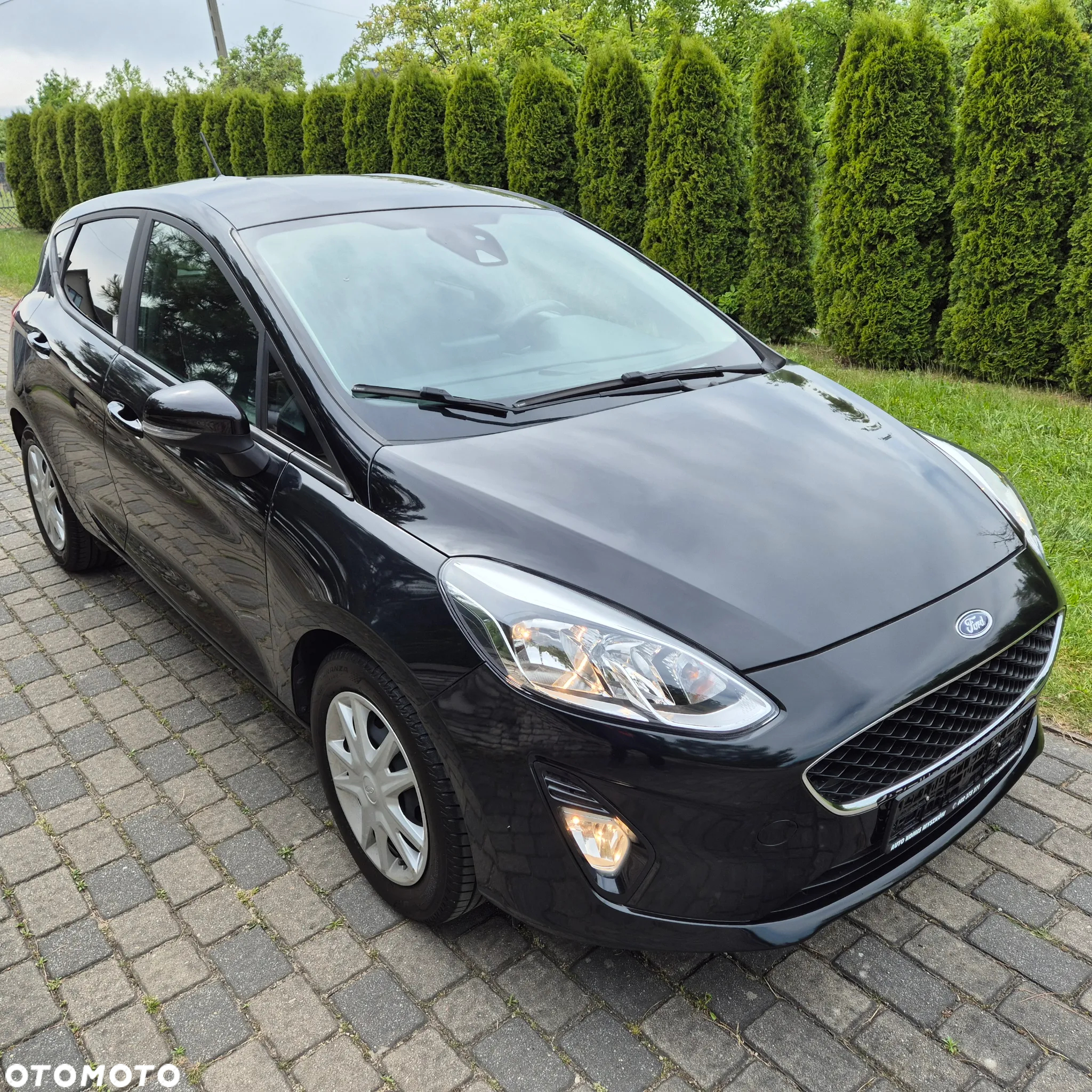 Ford Fiesta - 3