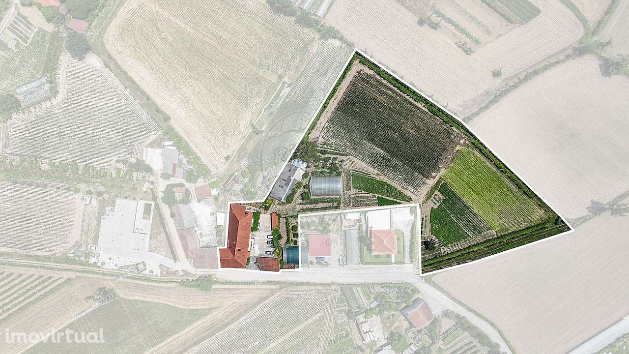 Moradia T8 para venda - Grande imagem: 3/50