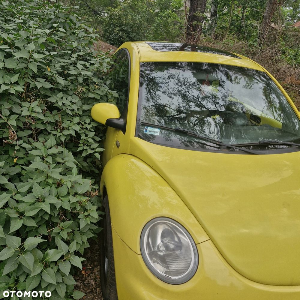 Volkswagen New Beetle - 8