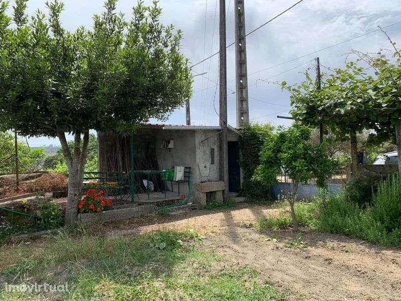 Terreno Particular com Viabilidade de construção em Mangualde - Grande imagem: 4/12