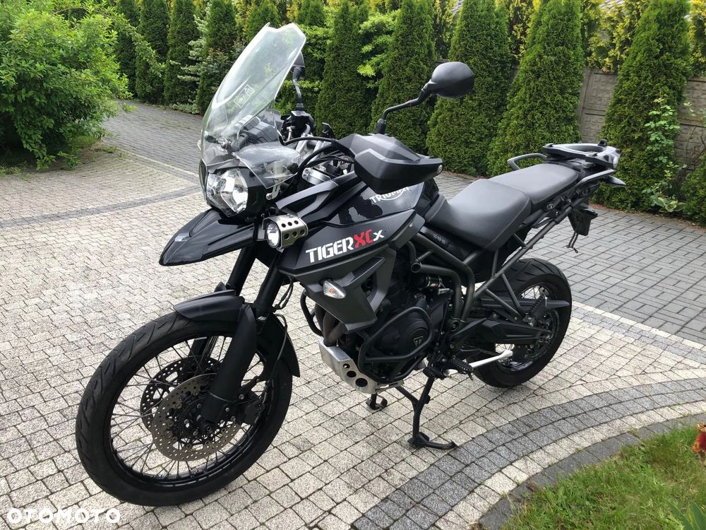 Triumph Tiger - 7