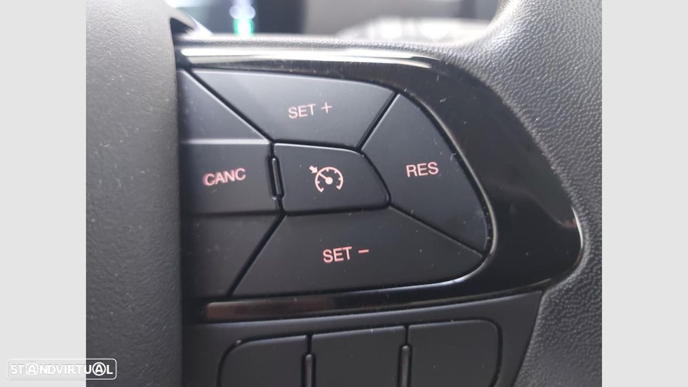 Fiat Panda Pandina 1.0 Hybrid - 13