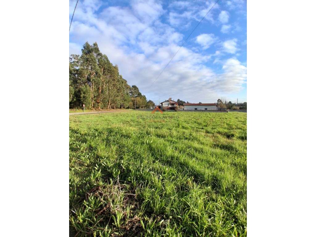 Terreno Urbanizável 710m² - Duas Frentes e Excelente Exposição Solar - Grande imagem: 4/10