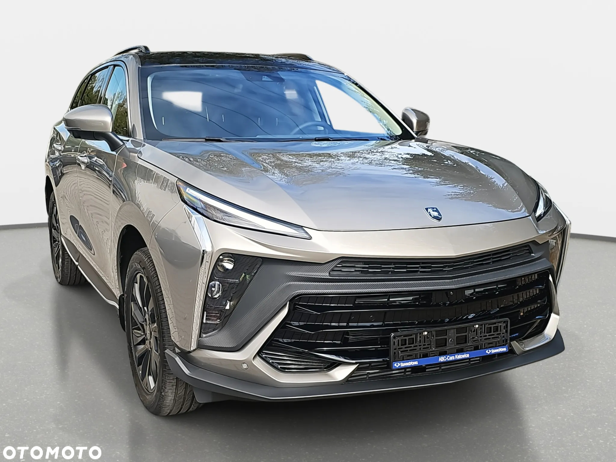 Forthing T5 EVO - 3
