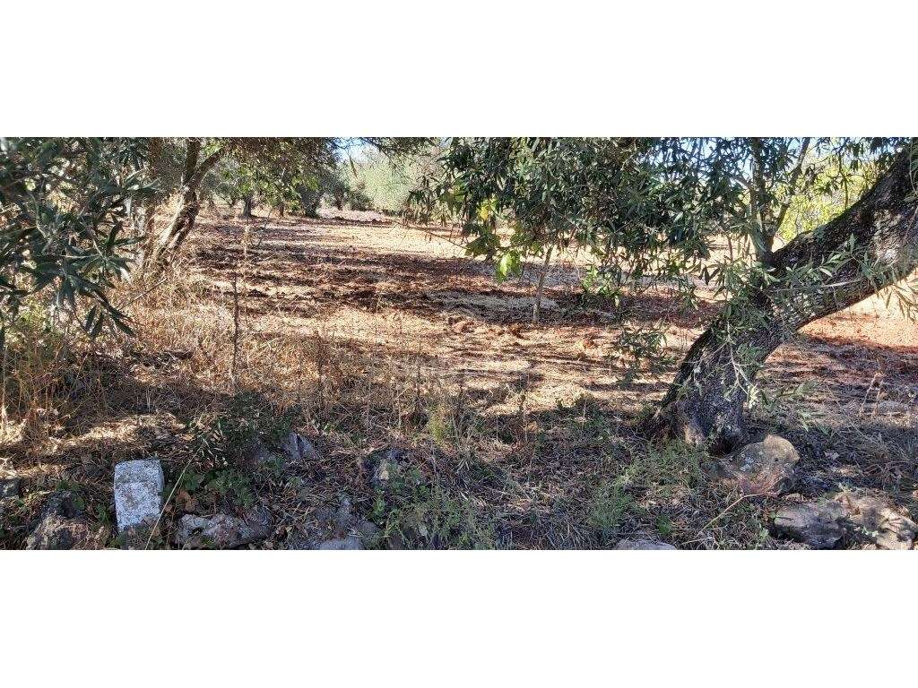 Terreno rústico, em zona agrícola, Ribeira de Alte, Paderne, Albufe... - Grande imagem: 2/25