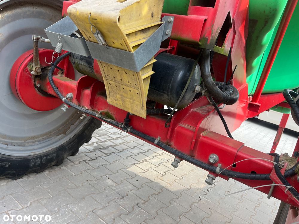 Krukowiak Goliat - 4