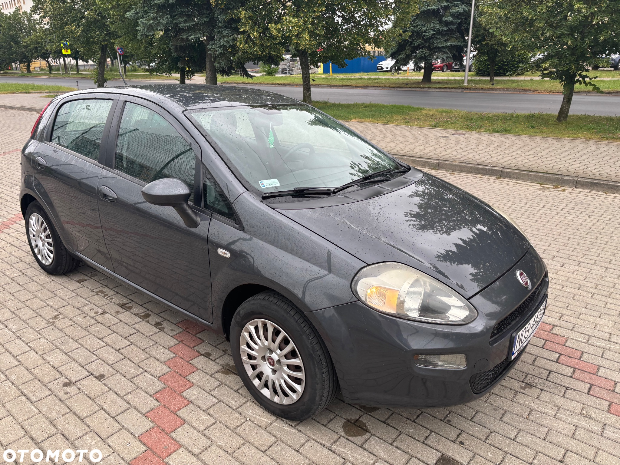 Fiat Punto 1.4 Easy S&S Euro6 - 5