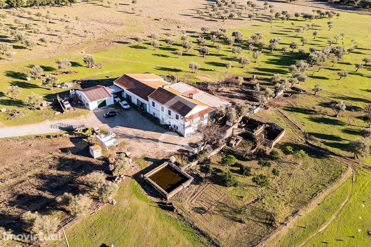 Quinta de 7,5 hectares  c/ Moradia T7 para Recuperação + Anexos de Apo - Grande imagem: 3/60