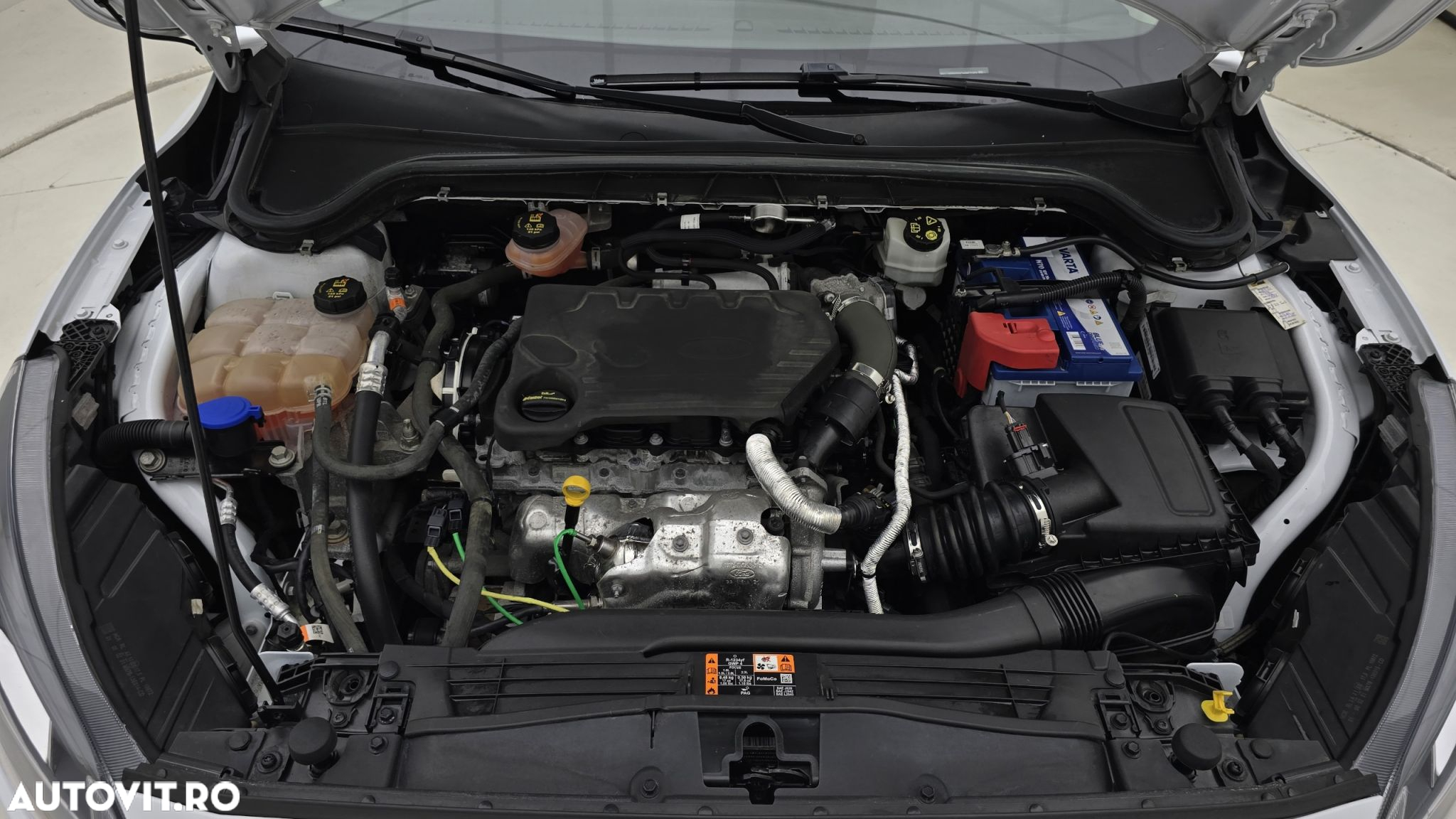 Ford Focus 1.5 EcoBlue Trend - 24