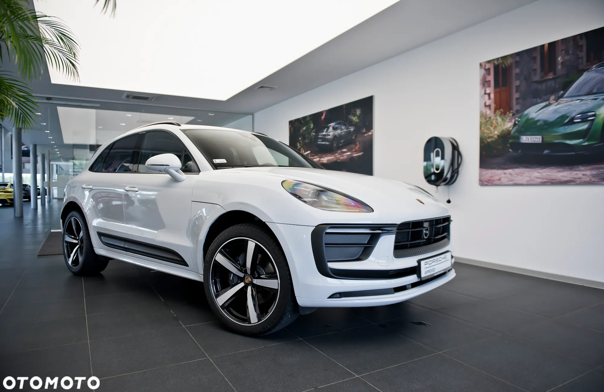 Porsche Macan Standard - 19