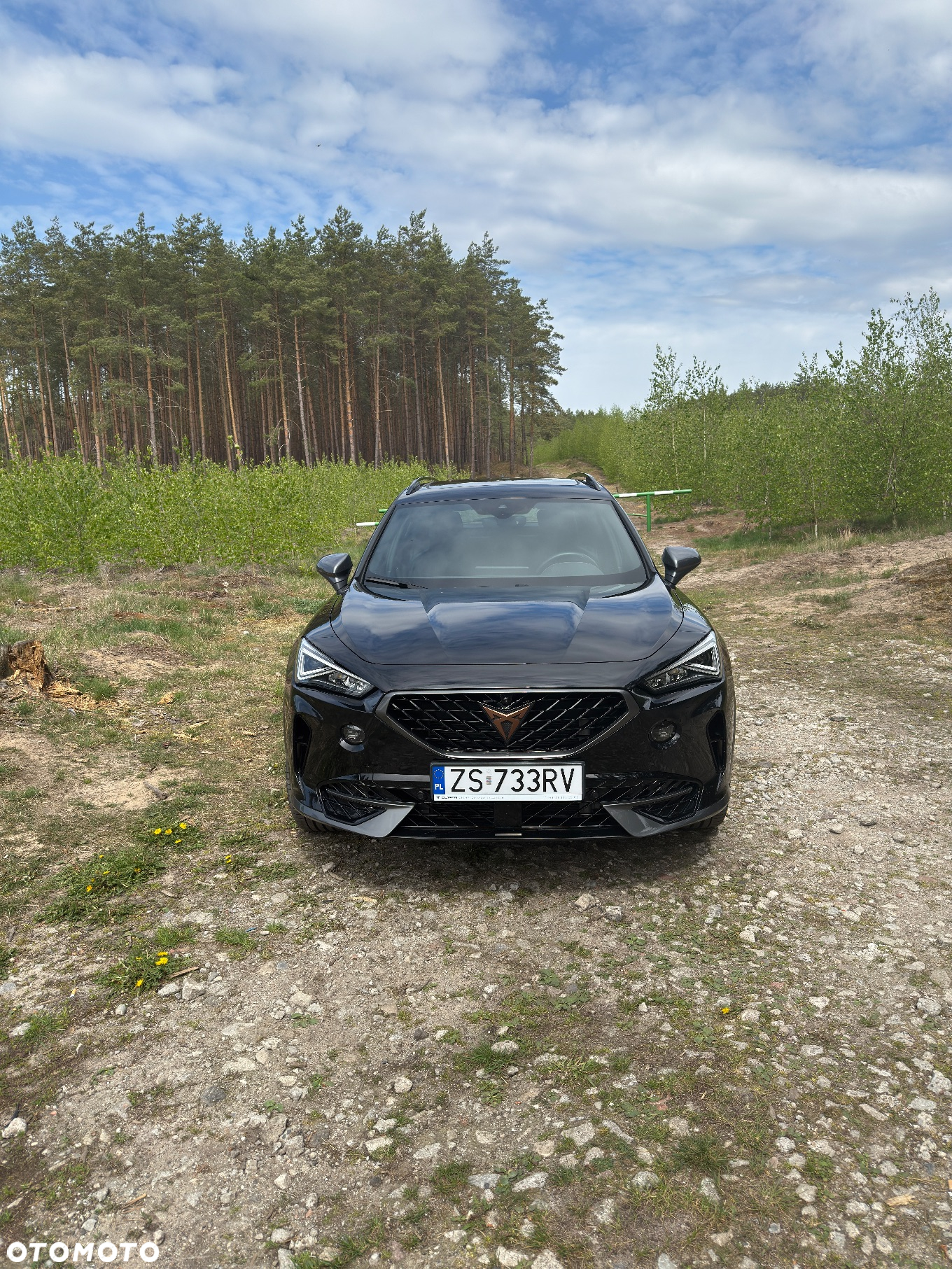 Cupra Formentor 1.5 TSI DSG - 2