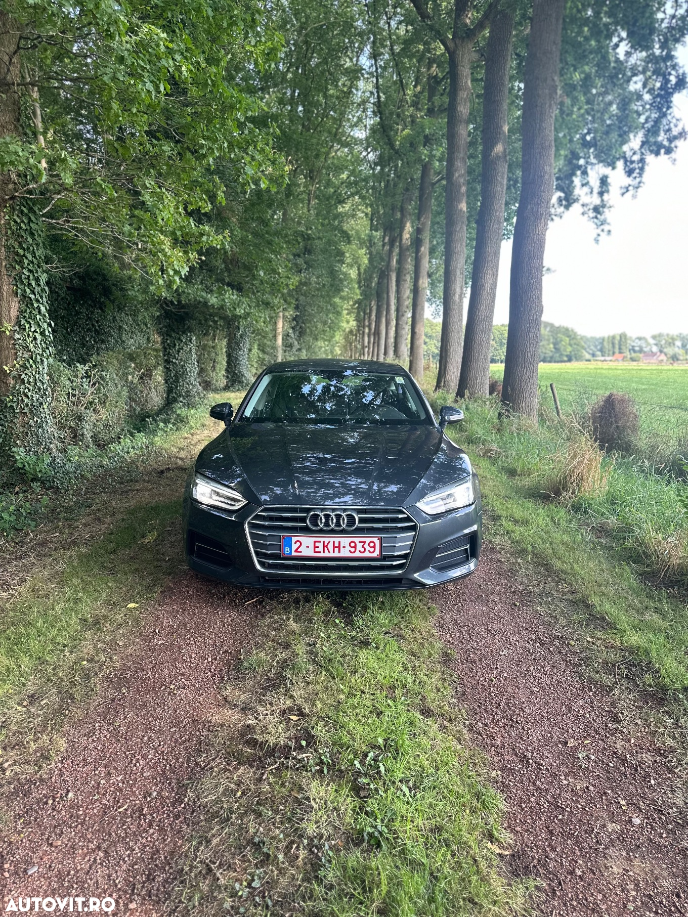 Audi A5 Sportback 2.0 TDI S tronic Design - 3