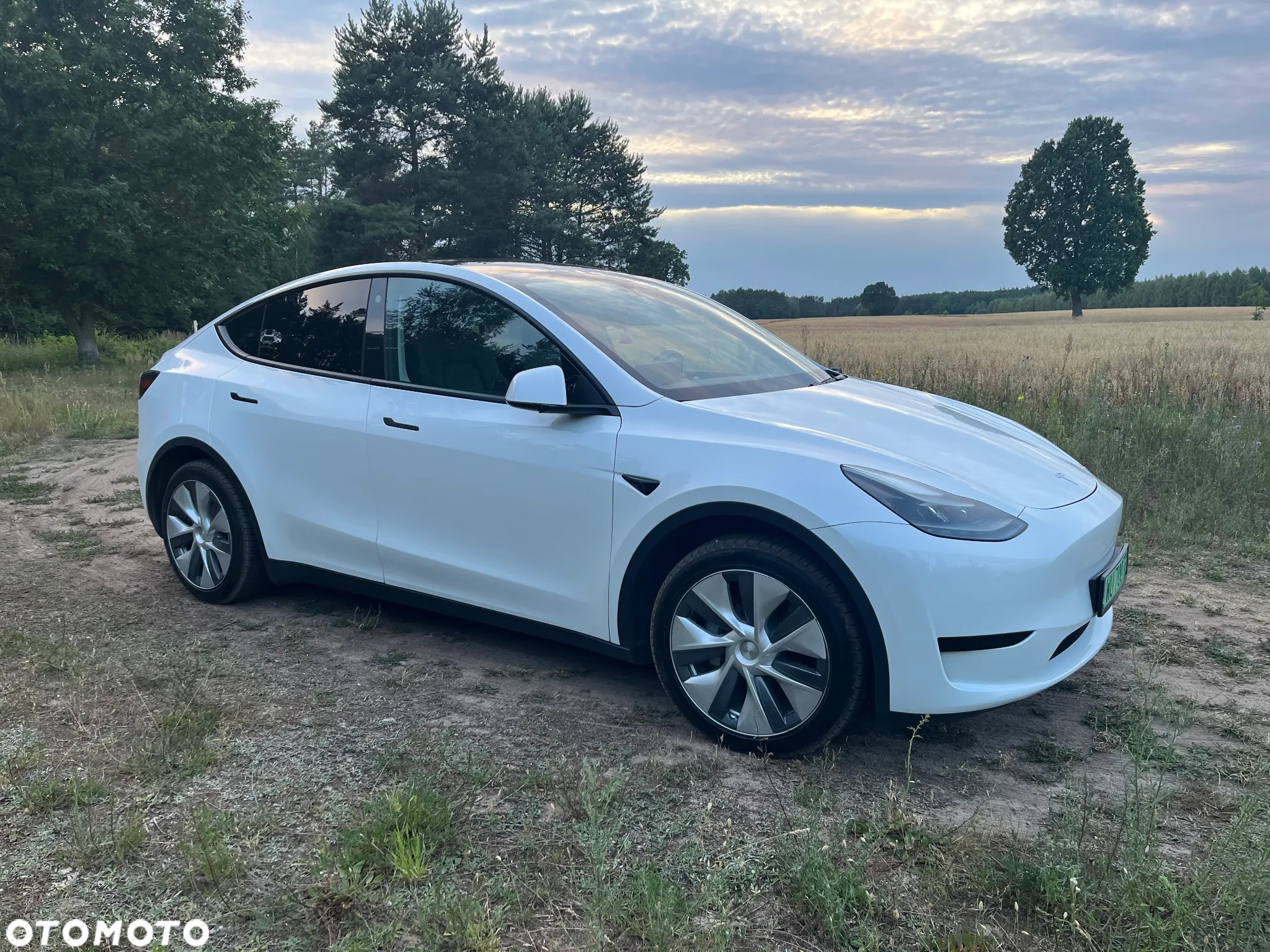 Tesla Y Long Range RWD - 2