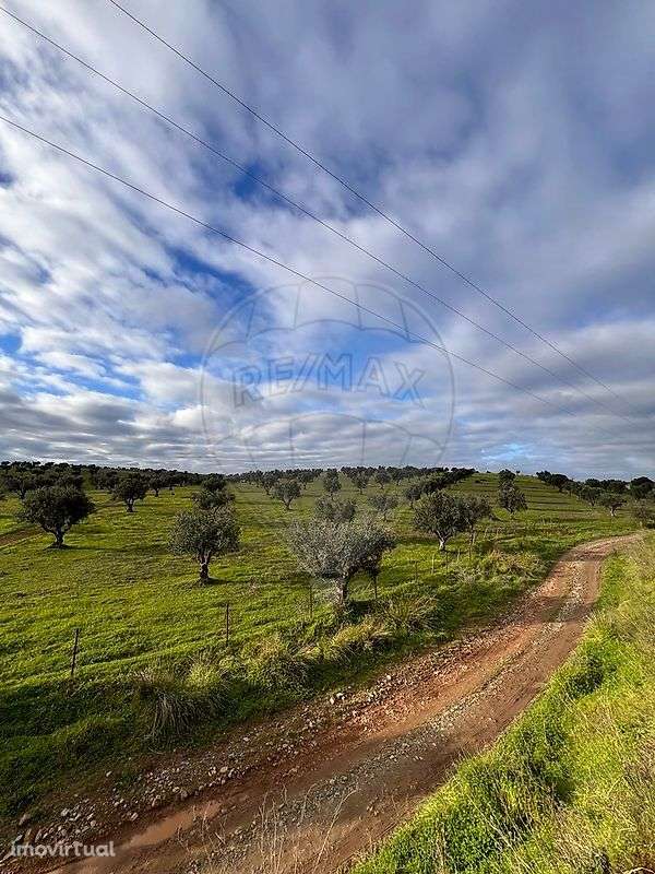 Terreno  para venda - Grande imagem: 2/8