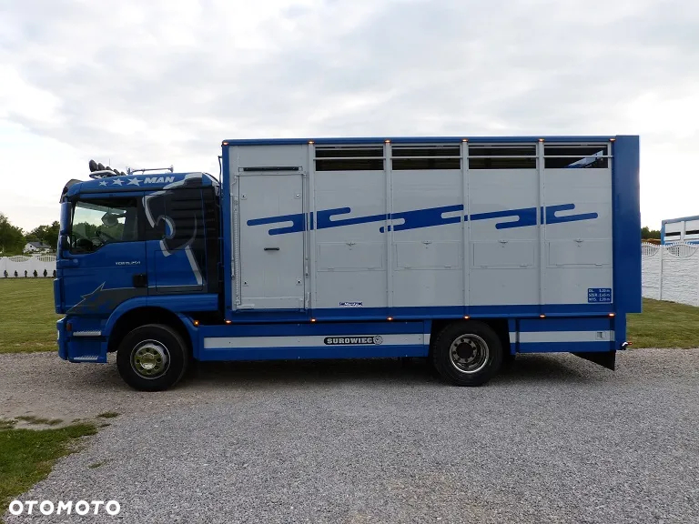 MAN TGM 15.250 DO ŻYWCA / ZWIERZĄT / BYDŁA / WAGA EL/. EURO 6 / DŁ. 5.20M /XENON - 6