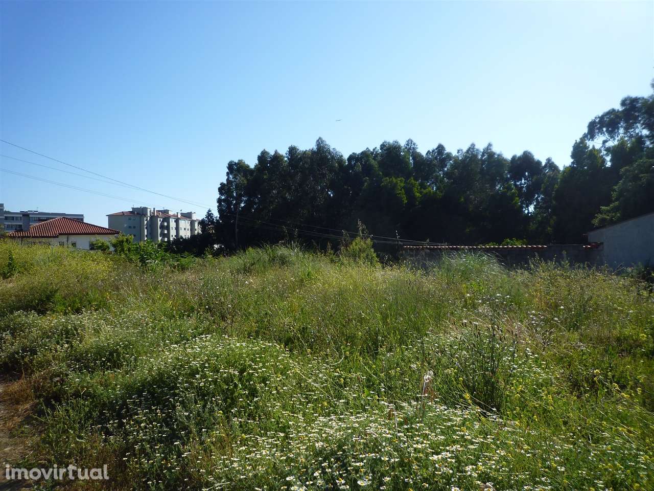 2 Lotes de terrenos para venda em Canelas - Grande imagem: 2/7
