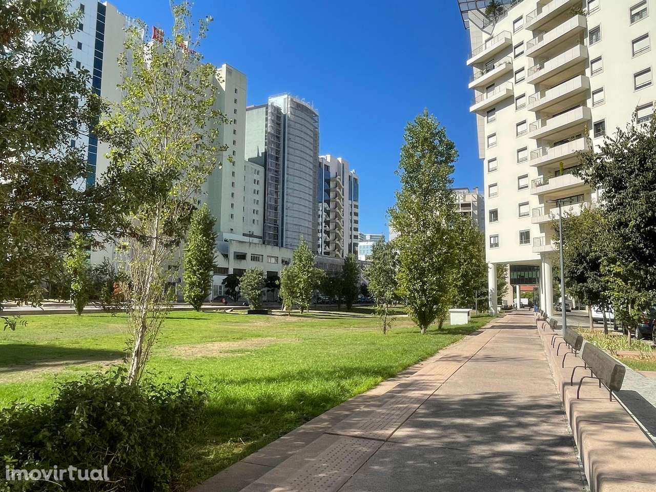 Espaço Comercial- Praça de Espanha/Sete-Rios - Grande imagem: 5/5