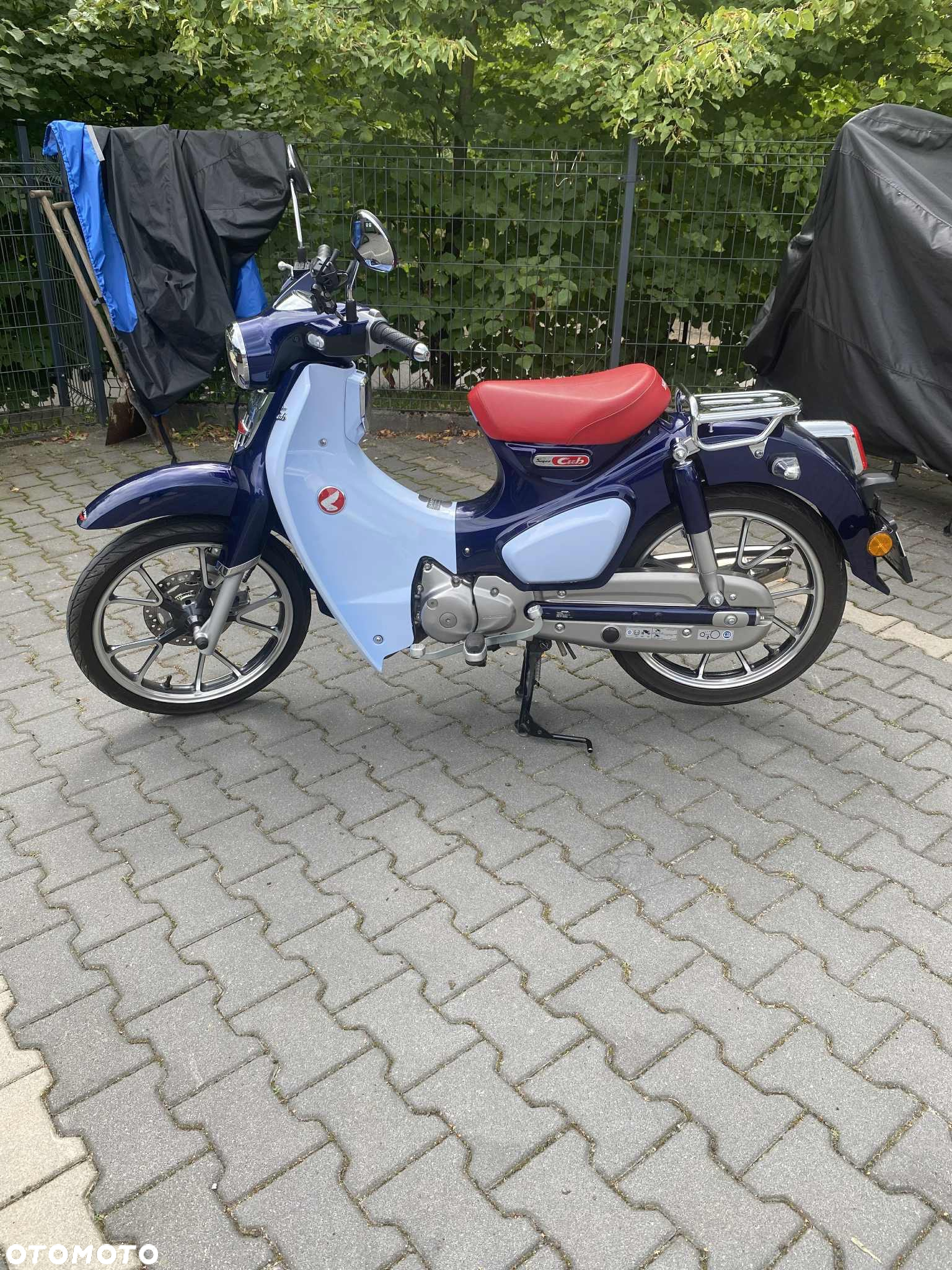 Honda Super Cub - 8