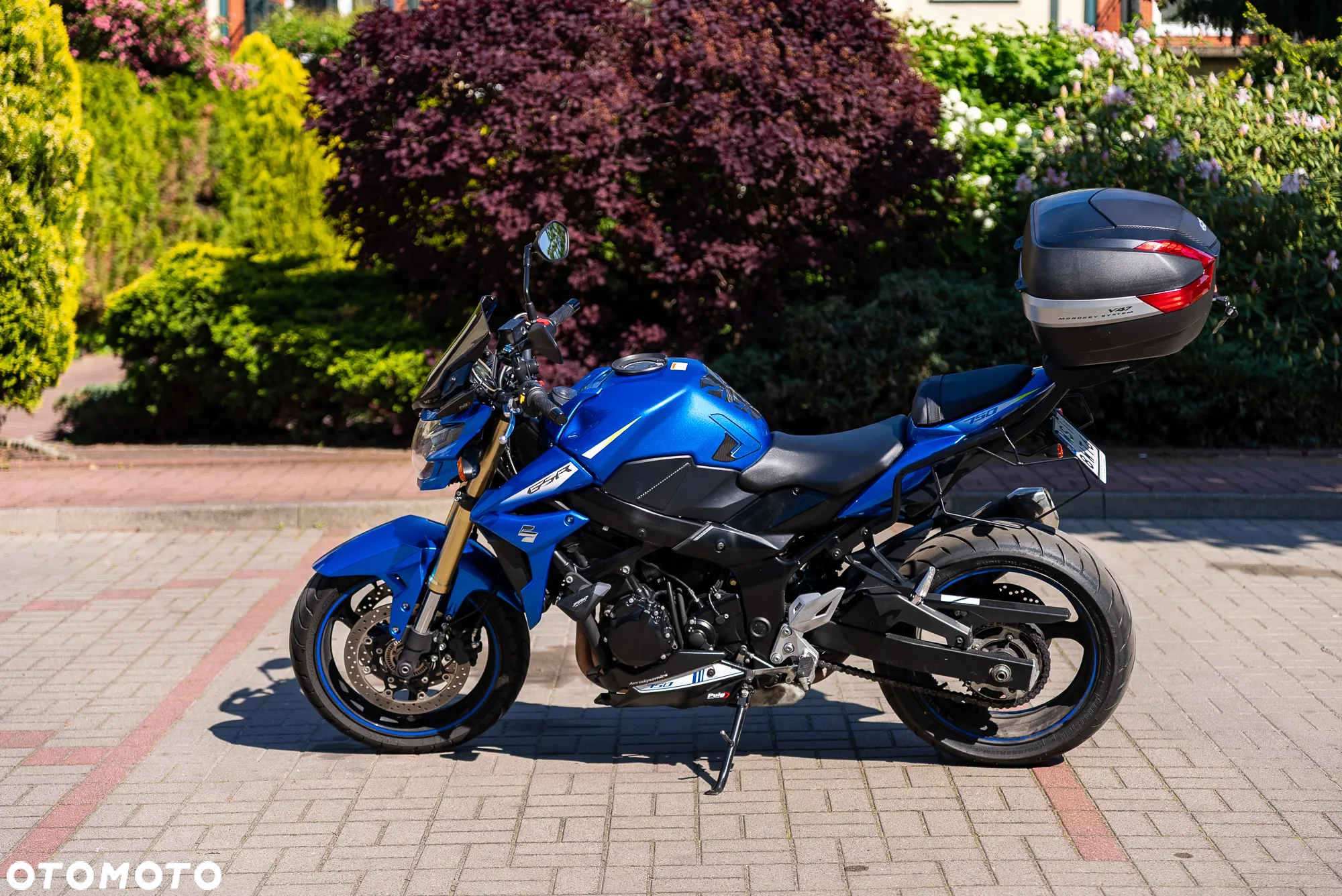 Suzuki GSR - 5