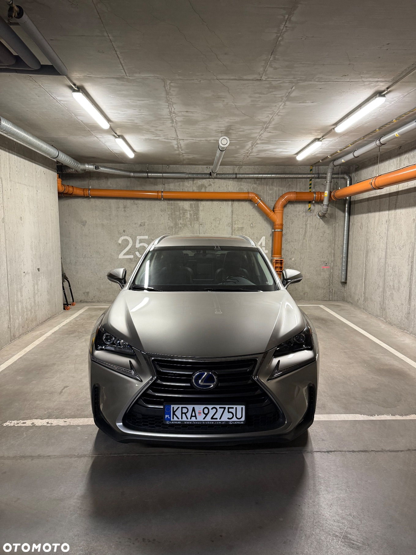 Lexus NX 300h Prestige AWD - 6