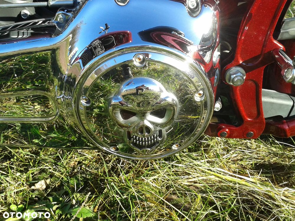 Harley-Davidson Softail - 8