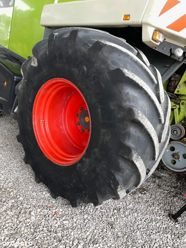 Claas JAGUAR 850 z RU450 Xtra - 12