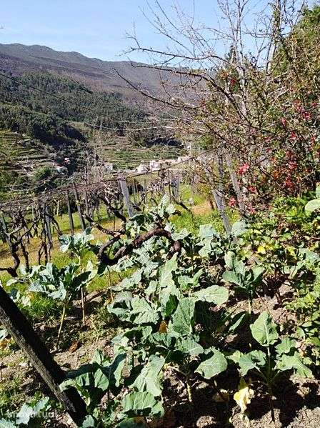 Casa   para  venda . - Grande imagem: 4/6