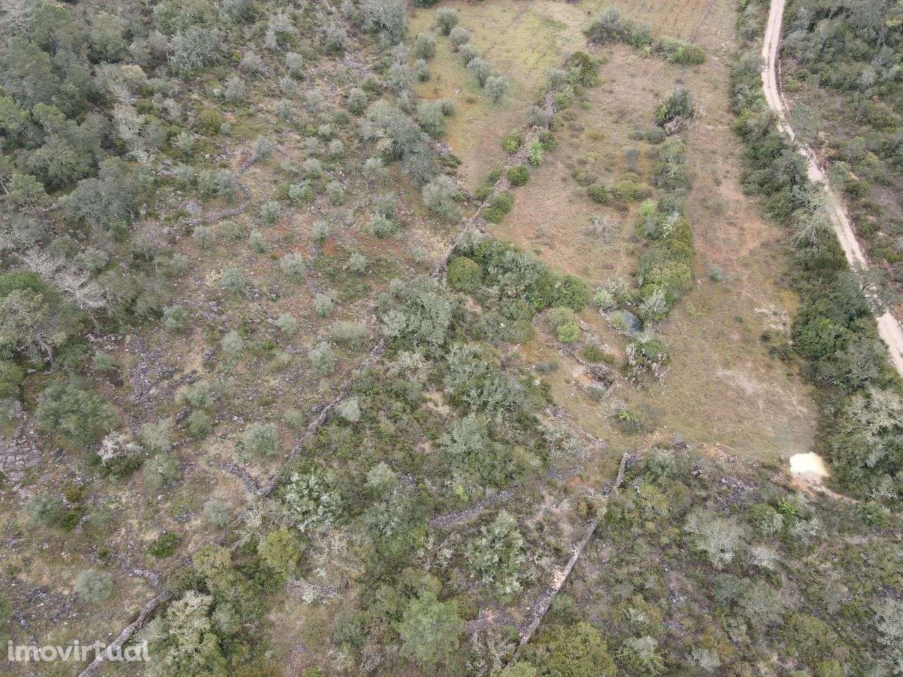 Terreno com Ruína em Alvaiázere! - Grande imagem: 5/18