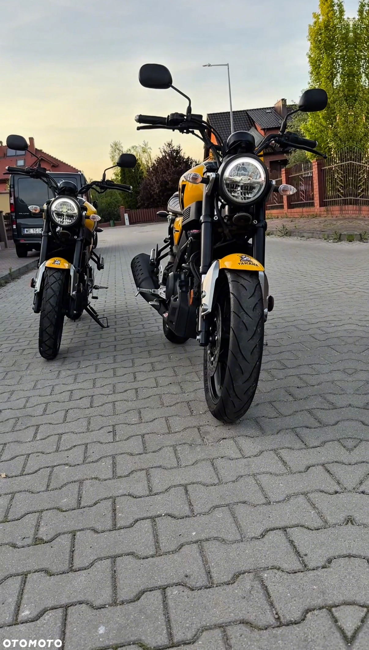 Yamaha XSR - 33