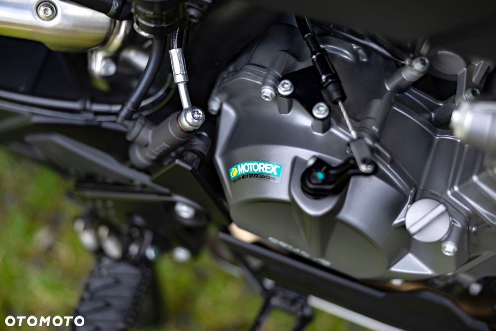 CFMoto MT - 21