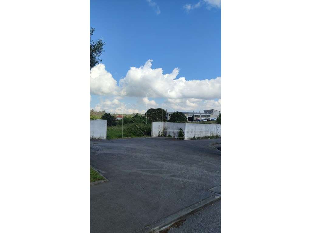 Terreno Urbano com 5.090 m² na Quinta de Assilhó - Albergaria-a-Velha - Grande imagem: 2/5