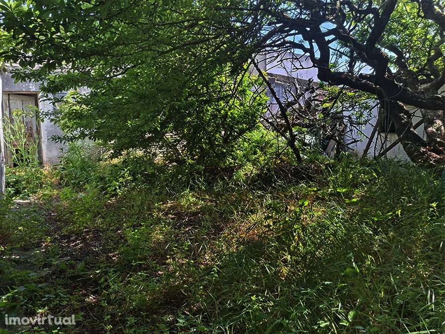 Moradia T2, com logradouro e anexos, a 5 min. da praia, Atalaia - Grande imagem: 5/23