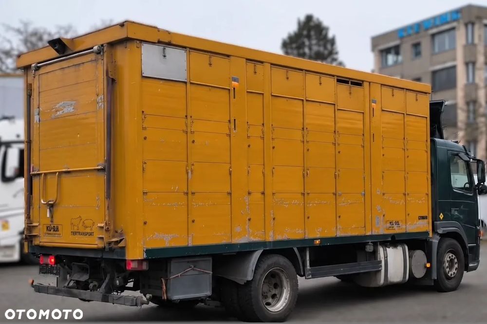 Volvo FM 260 4x2 KABA | 2 poziomy | transport zwierząt | pełne aluminium - 8