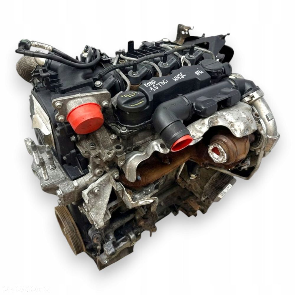 SILNIK HHJC Ford Fiesta VI MK6 1.6 TDCI 90KM diesel kompletny HHJD HHJE - 7
